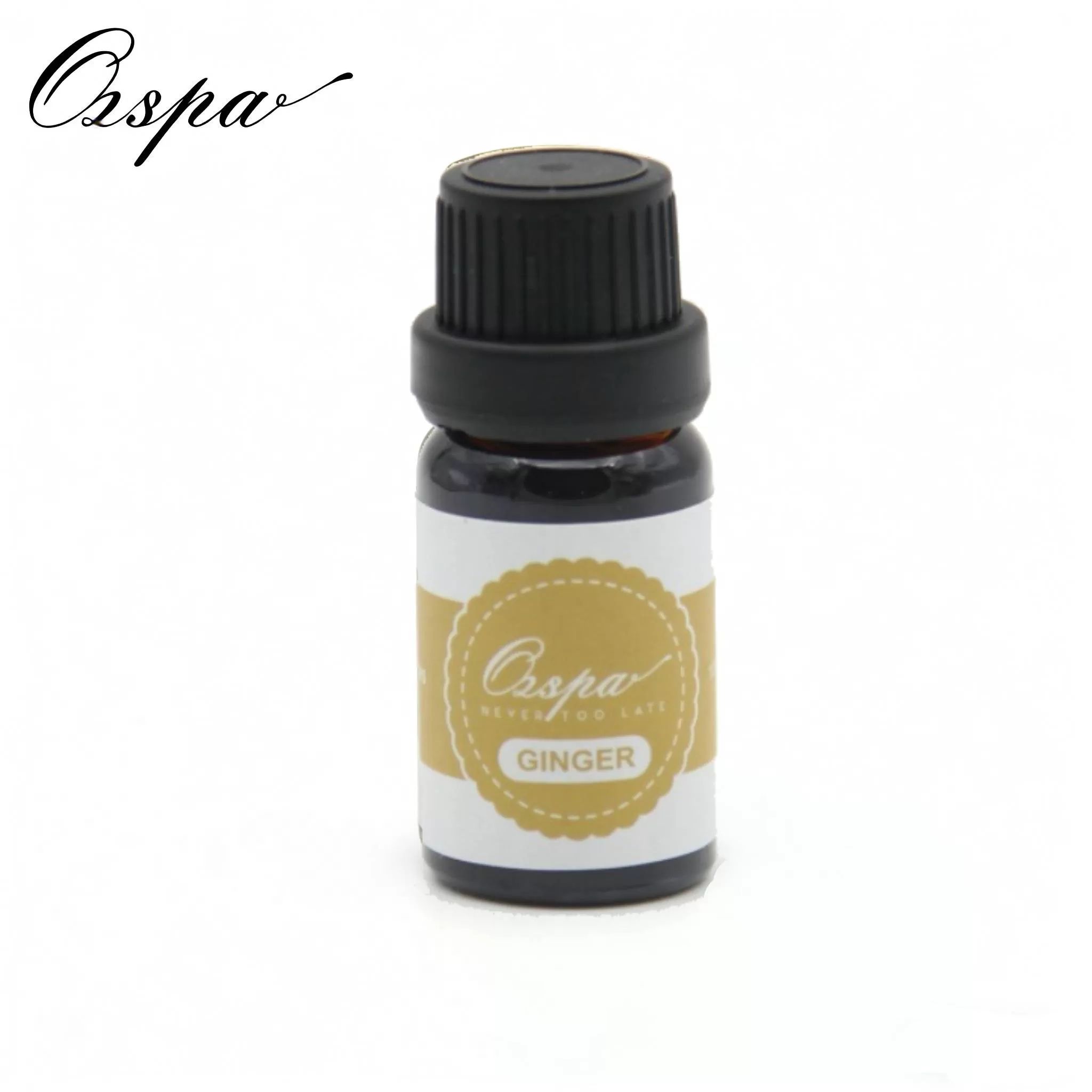 Ginger Essential Oil